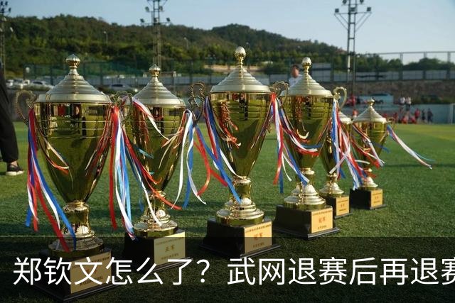 郑钦文怎么了？武网退赛后再退赛，连退4站比赛，提前告别本赛季